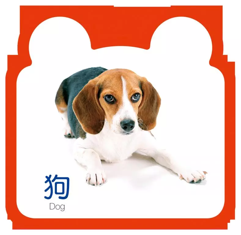 岁宝宝书籍撕不烂翻翻书早教卡启蒙认知撕不烂认知全书动物王国单本