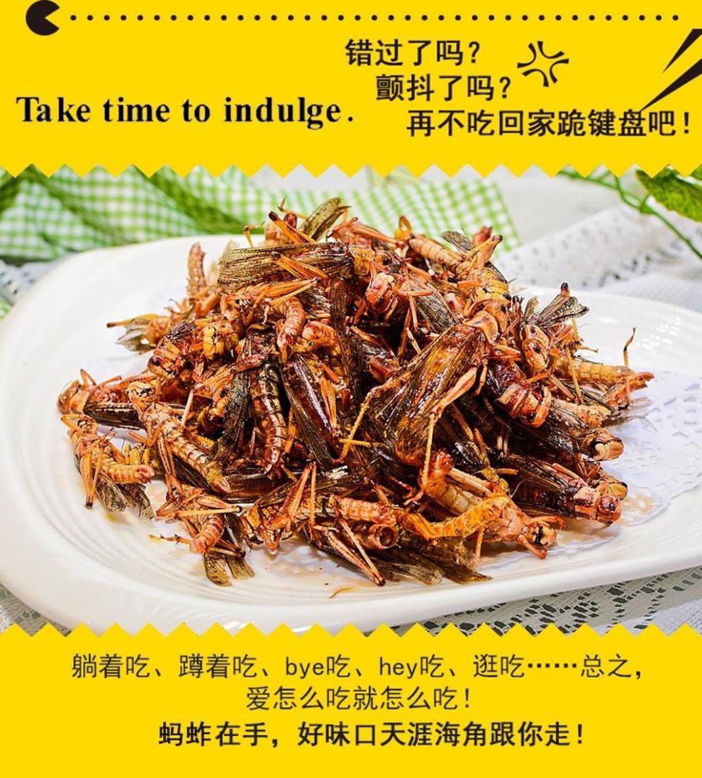 山蚂蚱菜的吃法图片