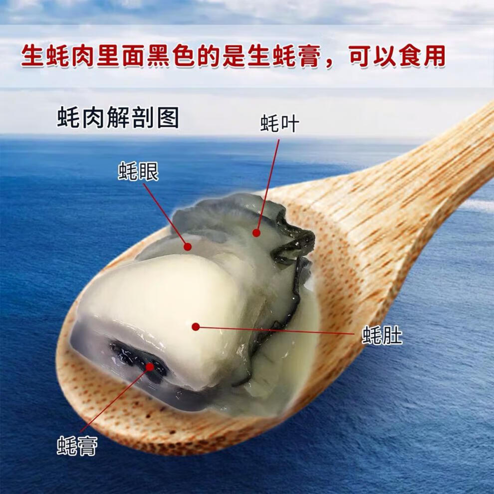 【当日现剥】生蚝肉即食现剥去壳海蛎子牡蛎肉生鲜干海产品扇贝肉 3斤