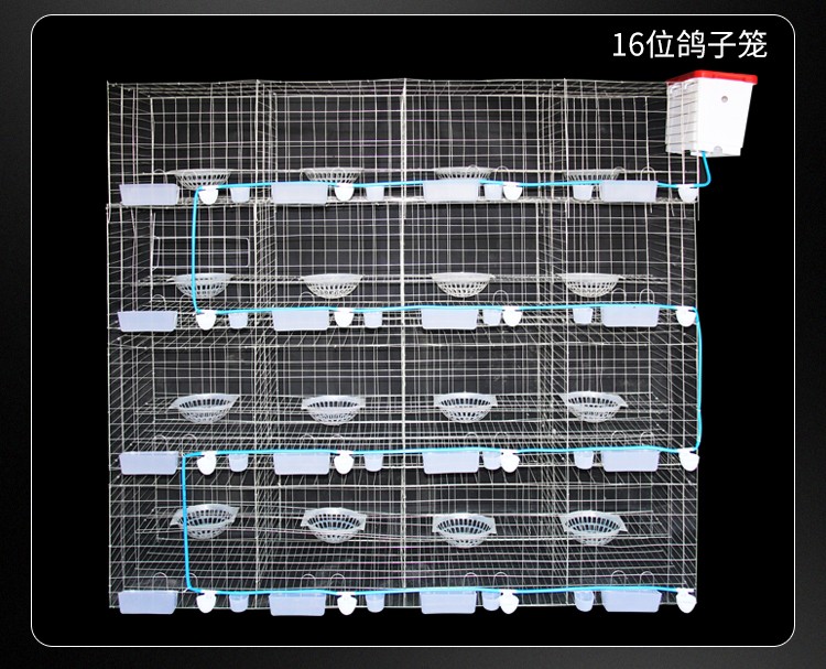 凯悦畜牧 加粗鸽子用品用具养殖鸽子笼信鸽配对笼肉鸽繁殖笼子 加粗12