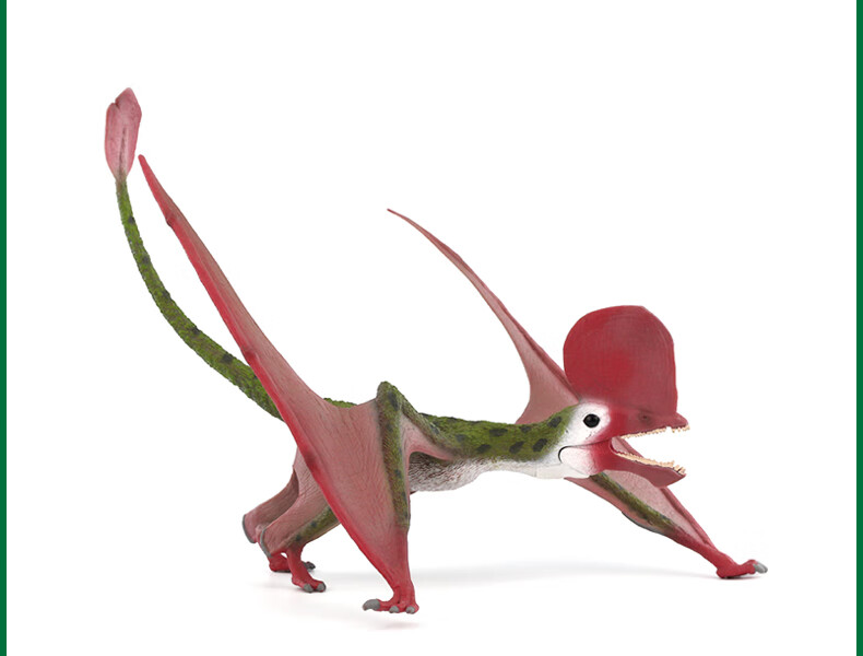 英国collecta我你他史前侏罗纪恐龙模型玩具88886空枝翼龙2020款12空