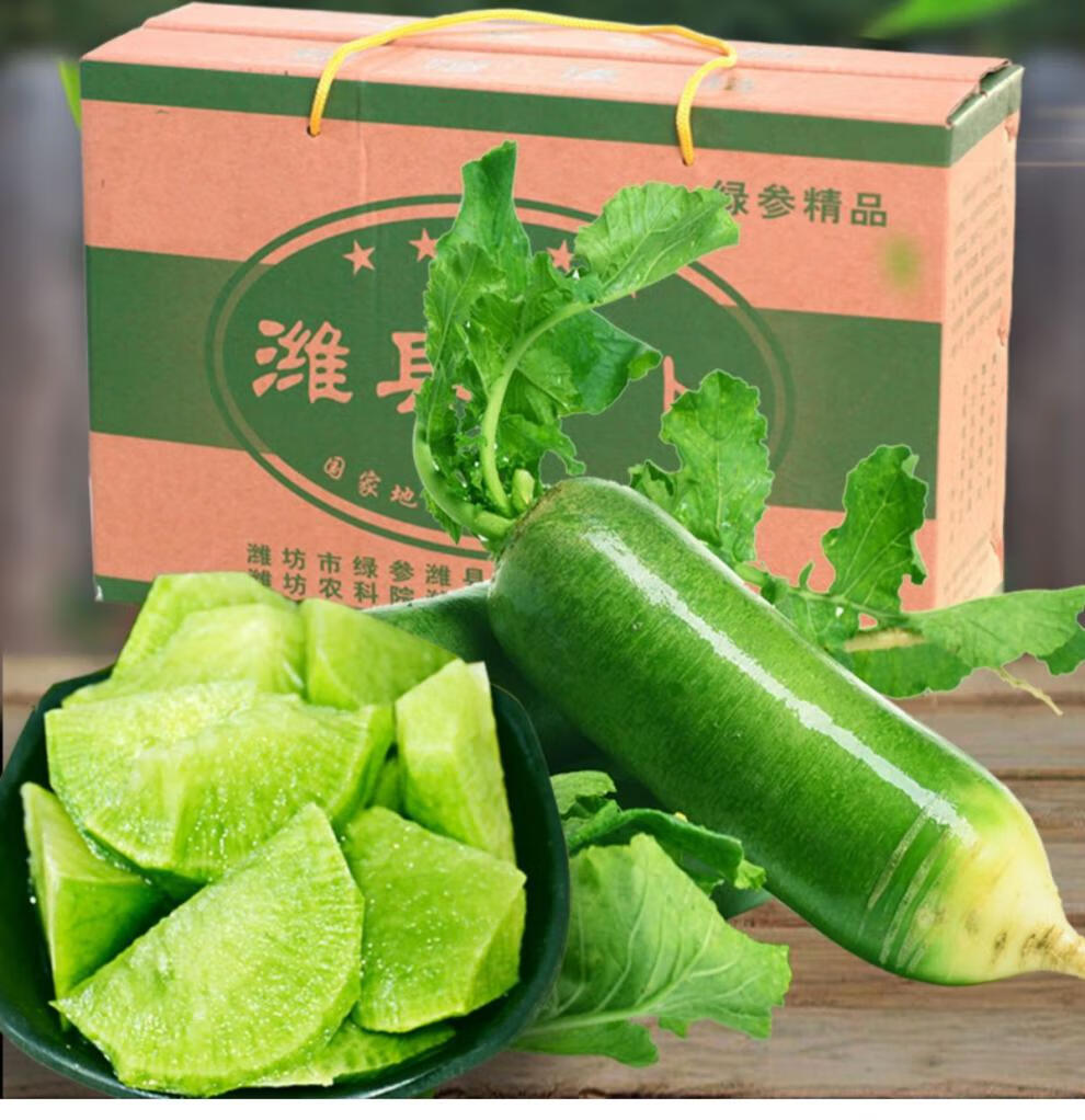 现货速发潍坊沙窝水果萝卜礼盒装送人新鲜拔潍县萝卜青萝卜甜脆 正宗