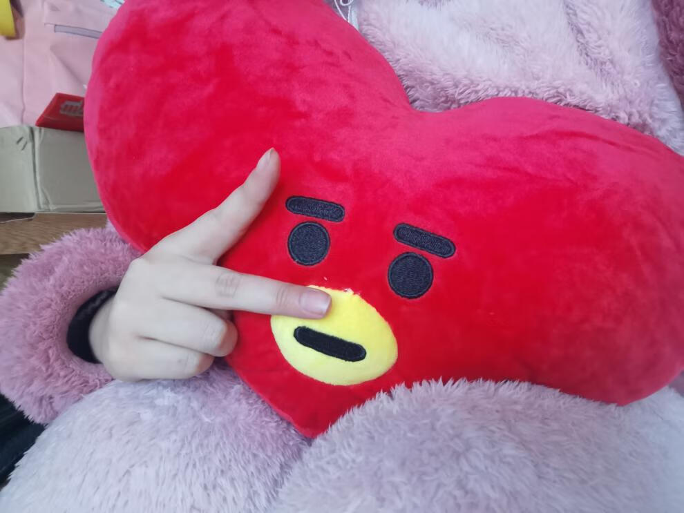 bts防弹少年团玩偶抱枕金泰亨田柾国rj娃娃tata毛绒公仔周边靠枕 爱心