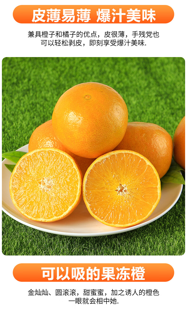 四川眉山爱媛38号果冻橙柑橘子新鲜当季现摘水果8斤礼盒装中大果