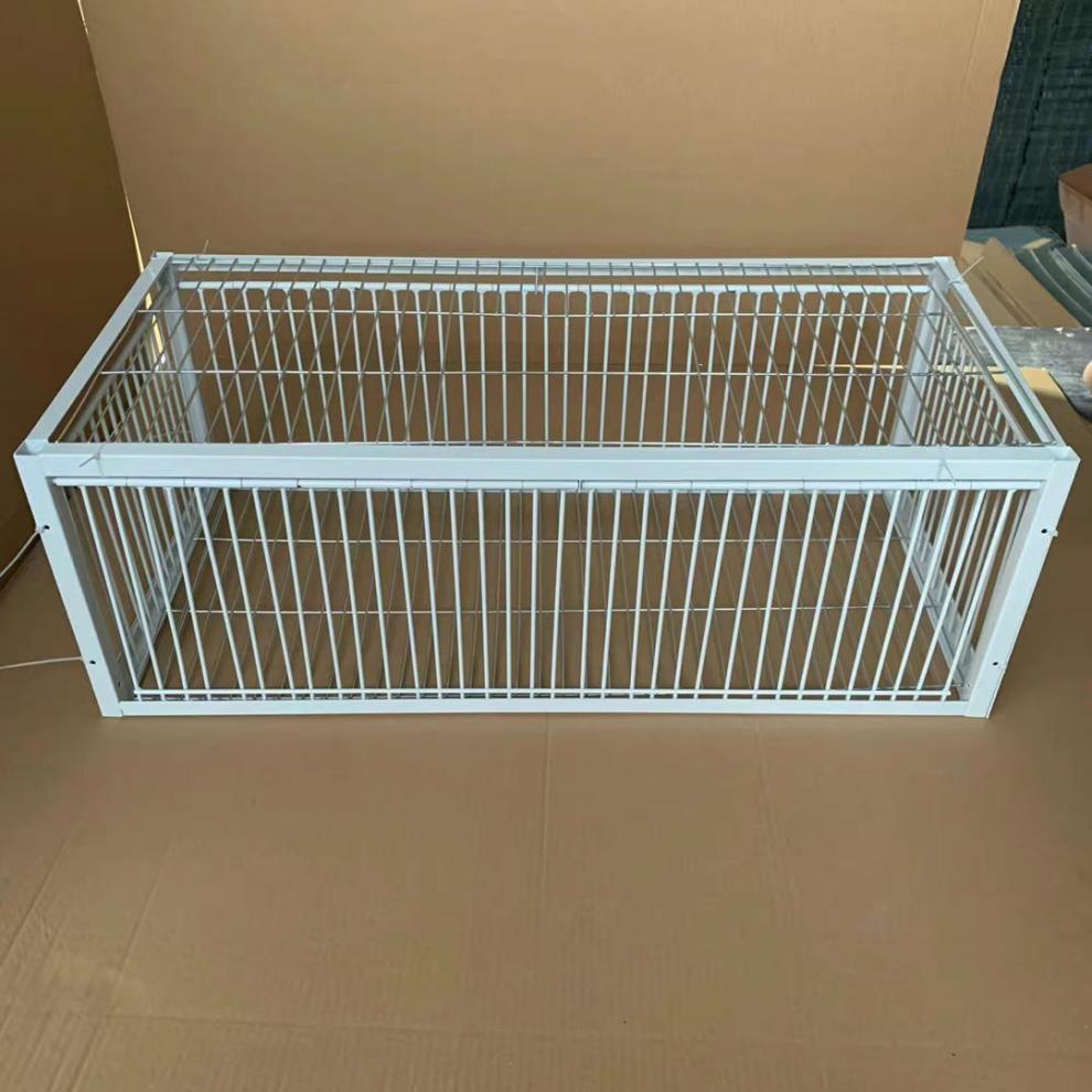 抓麻雀神器天落笼信鸽只进不出鸽子笼鸽子鸟笼笼子捕野鸽子有天窗长90