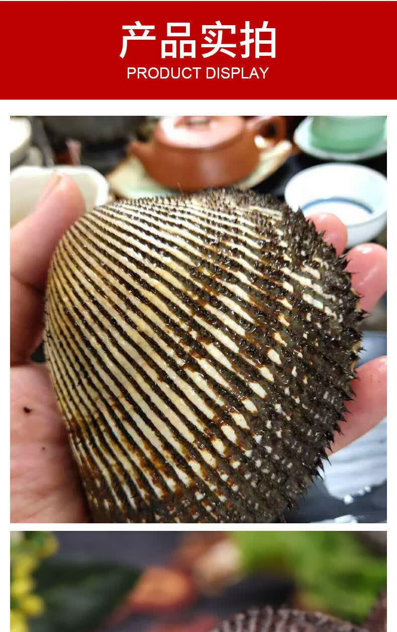 鲜活大毛蛤大毛蚬毛钳贝类赤贝血蛤银钳雪蛤海鲜水产新鲜买四斤赠四斤