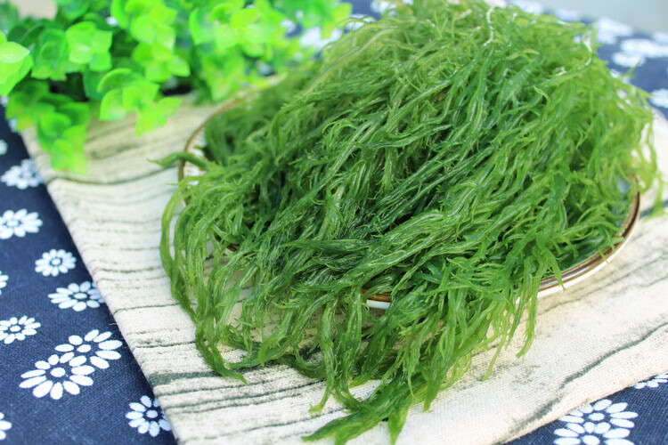 盐渍海草龙须菜5斤新鲜海菜海藻菜海草丝海石花菜凉拌菜裙带海带