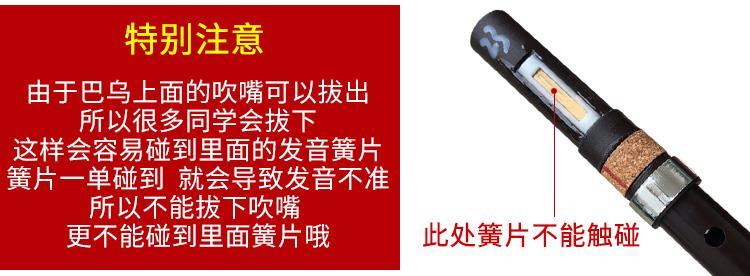 d5aac80af6856047.jpg
