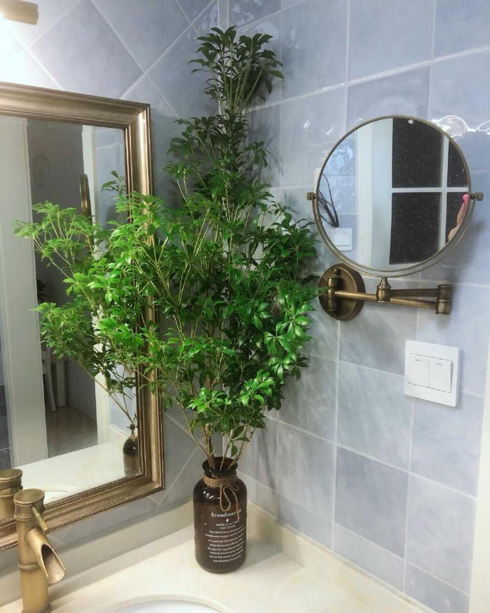 马醉木绿植植物 ins网红吊钟民宿鲜切枝条水养植花道配叶 110厘米左右