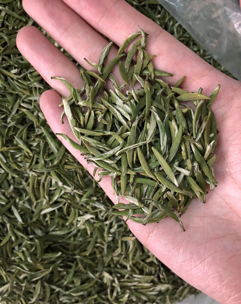 2021新茶明前绿阳春 扬州特产绿杨春茶叶12小罐共200g鸡翅木礼盒装 两