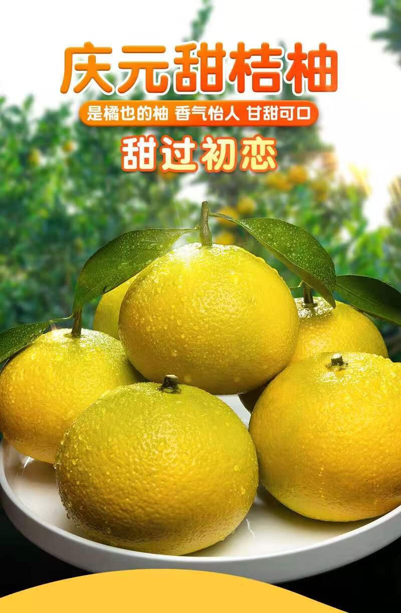 庆元甜桔庆元甜桔10斤礼盒装高山甜柚胜建阳柚新鲜孕妇水果当季整箱柚