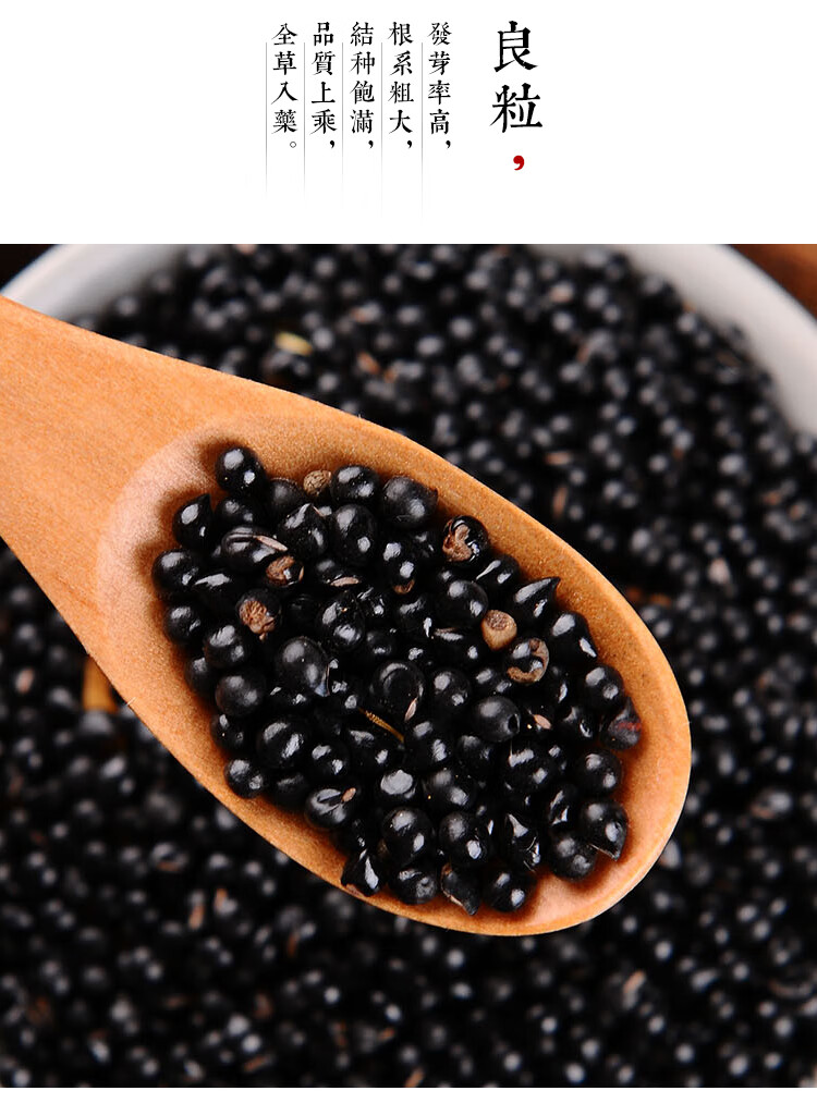 白鲜皮种子新采药材种籽春秋播种八股牛山牡丹羊鲜草中草药包发芽半斤