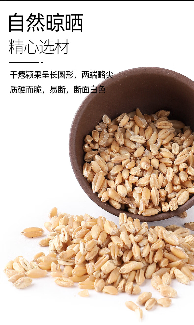 浮小麦茶浮小麦500g止汗搭配黄芪甘草大枣出汗多茶中药材店铺代抓