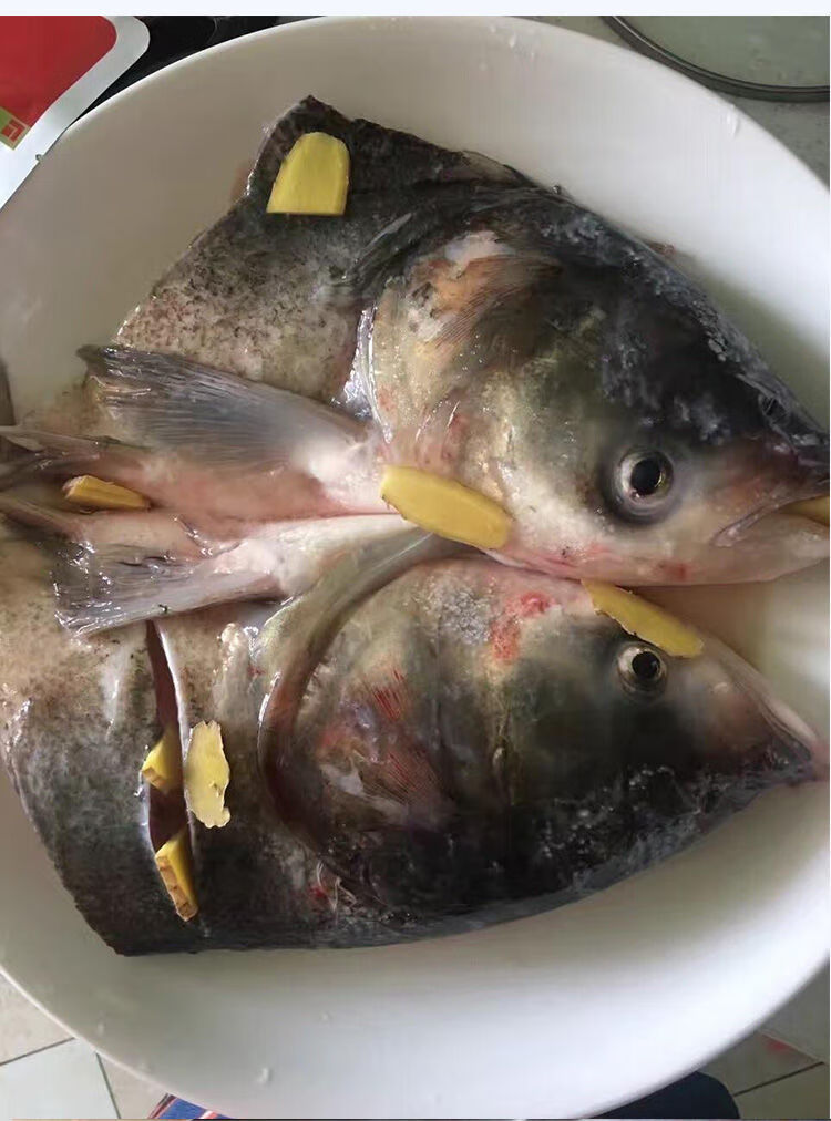 {京东推荐}老扣 胖头鱼头新鲜大头鱼鱼头鲢鱼鲜活现杀鱼头鳙鱼花鲢