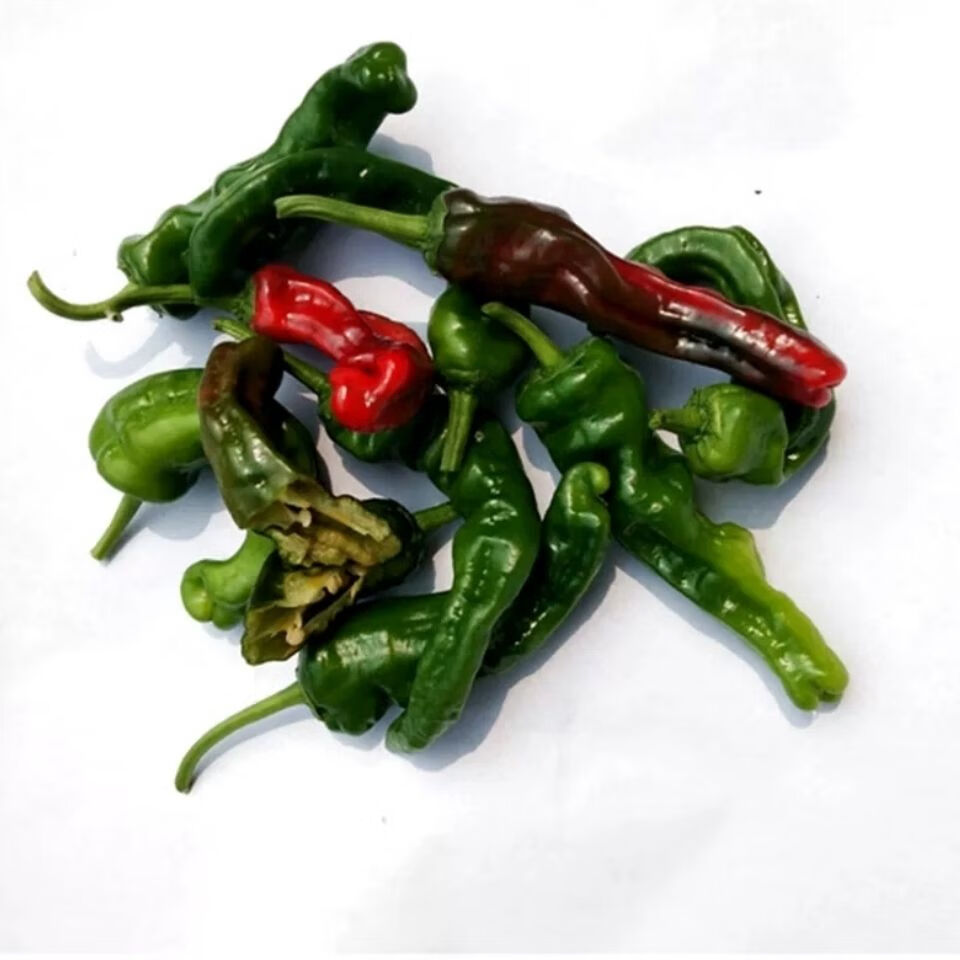 江苏徐州辣椒新鲜特辣皱皮辣椒薄皮辣椒炒辣子鸡辣椒3/5斤整箱 生鲜