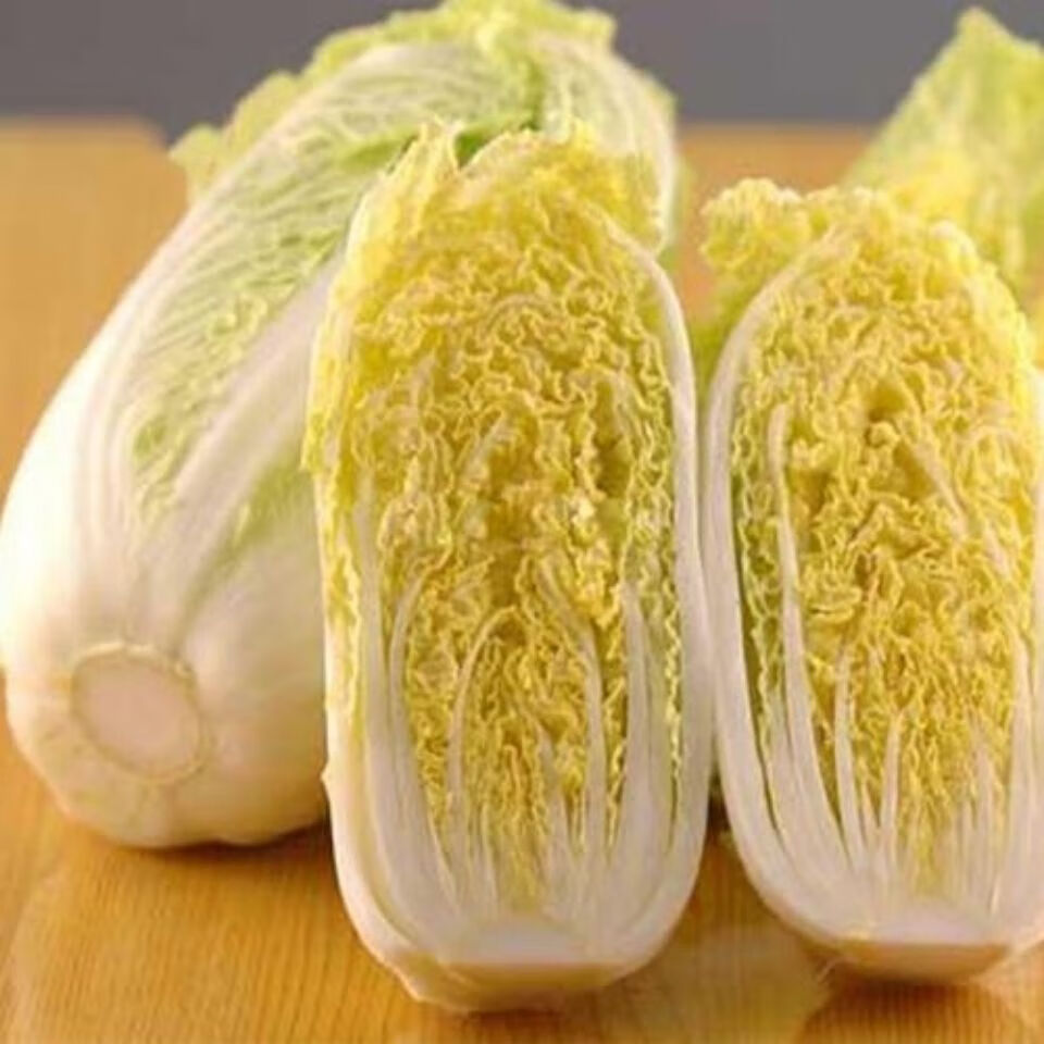 高山娃娃菜云南高原露天绿色新鲜蔬菜 产地直发坏单包赔 商超袋装6包