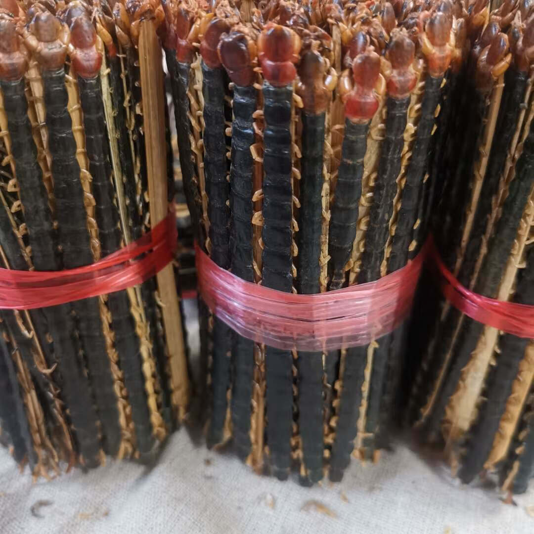 蜈蚣中药材蜈蚣干红头蜈蚣8-20cm各种规格标准尺寸滋补蜈蚣 12-13 20
