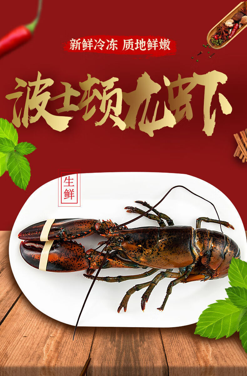 波士顿龙虾特大海鲜鲜活船冻巨型龙虾生猛新鲜大龙虾冻活物波龙虾