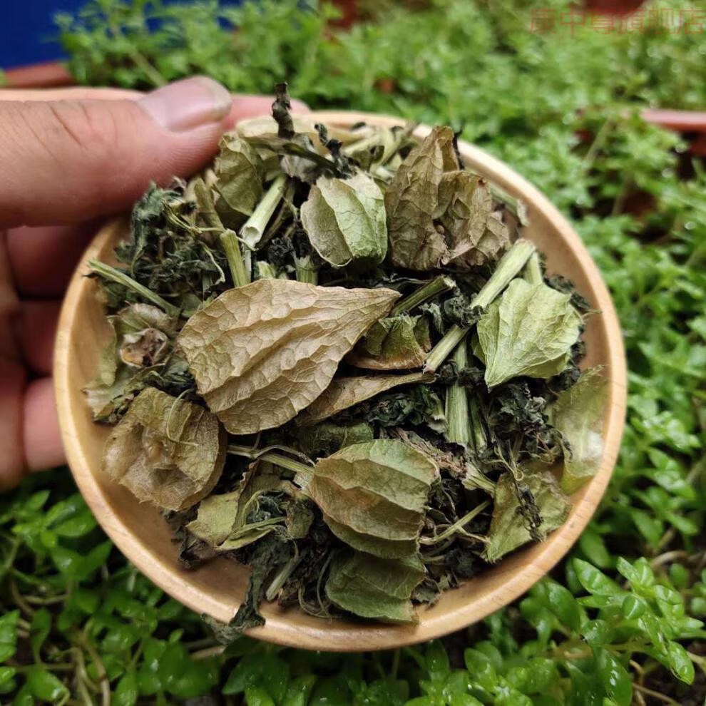 康中尊中药材也生灯笼草 打卜草 打额泡 天泡草 黄灯笼 黄姑娘250克