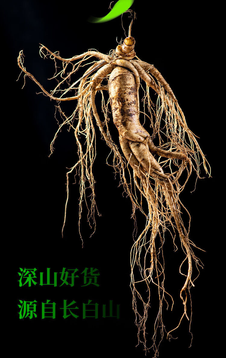 特大人参长白山野生新鲜人参带土现挖泡酒药材煲汤材料东北特产 4--5