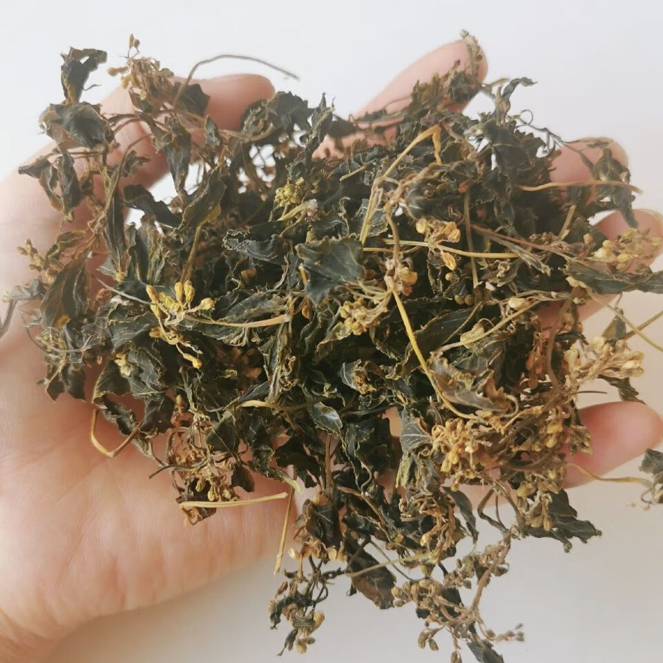 镇巴树花菜陕西汉中土特产天然珍珠花农家自制干货山珍龙须菜 半斤