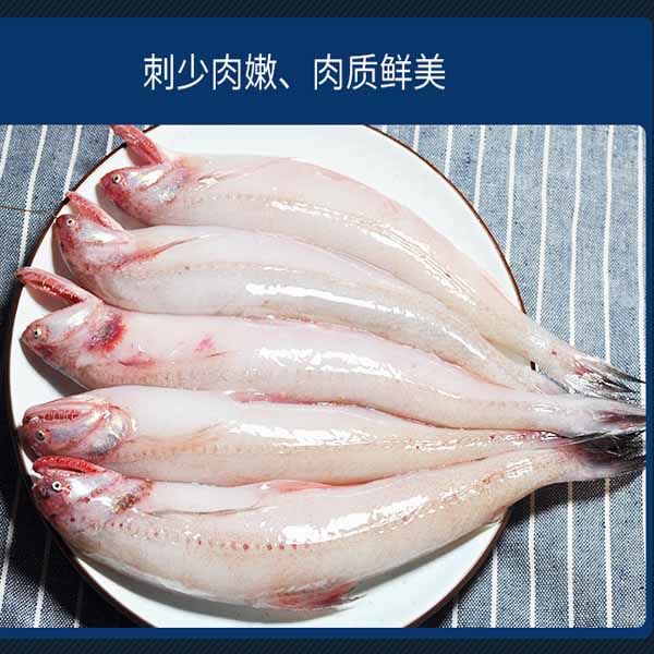 净鱼无冰新鲜龙头鱼豆腐鱼海鲜水潺鱼生鲜龙头鲓丝丁鱼九肚鱼7斤送礼