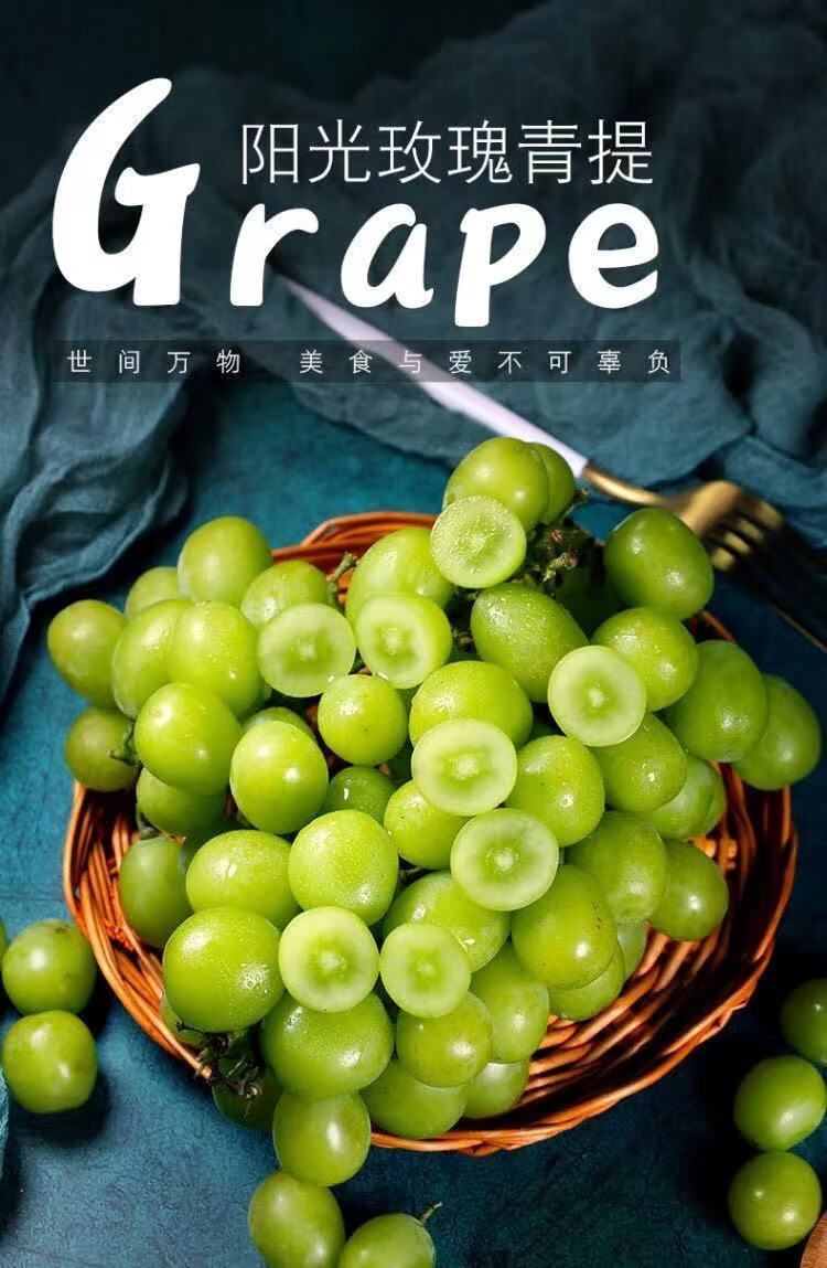 阳光玫瑰葡萄青提新鲜晴王水果纯甜3斤实惠