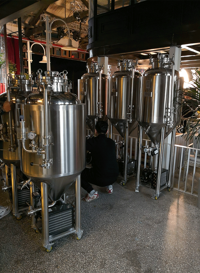 樾樽精酿啤酒发酵罐独立控温设备酿酒发酵罐啤酒罐100500升发酵罐100