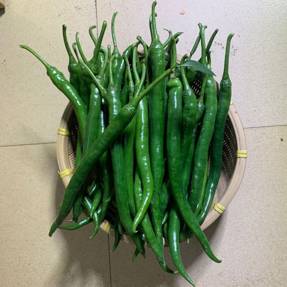 广西农家红线椒 新鲜红辣椒 尖椒 红二荆条新鲜蔬菜中辣 10斤红线椒带