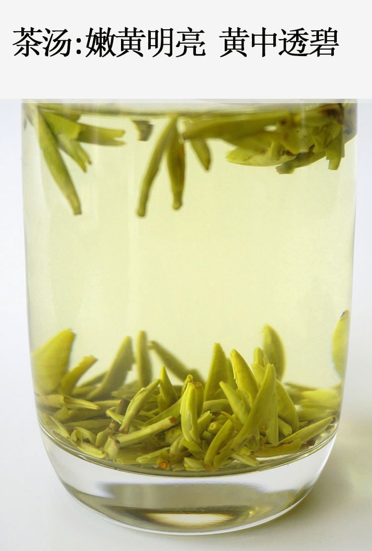 蒙顶黄芽2021新茶黄茶茶叶四川雅安明前茶特级春茶100克
