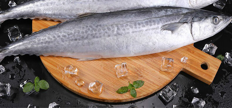 马鲛鱼5斤深海鲅鱼新鲜鲜活海捕冷冻燕尾鲅鱼大号鲅鱼海鲜水产欧登城