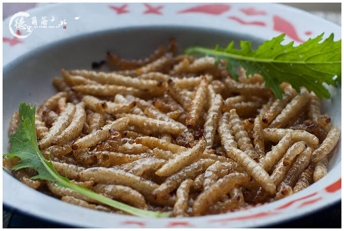 云南特产冰鲜新鲜竹虫竹节虫竹蜂蜂虫笋食用昆虫下酒菜顺丰 1斤装