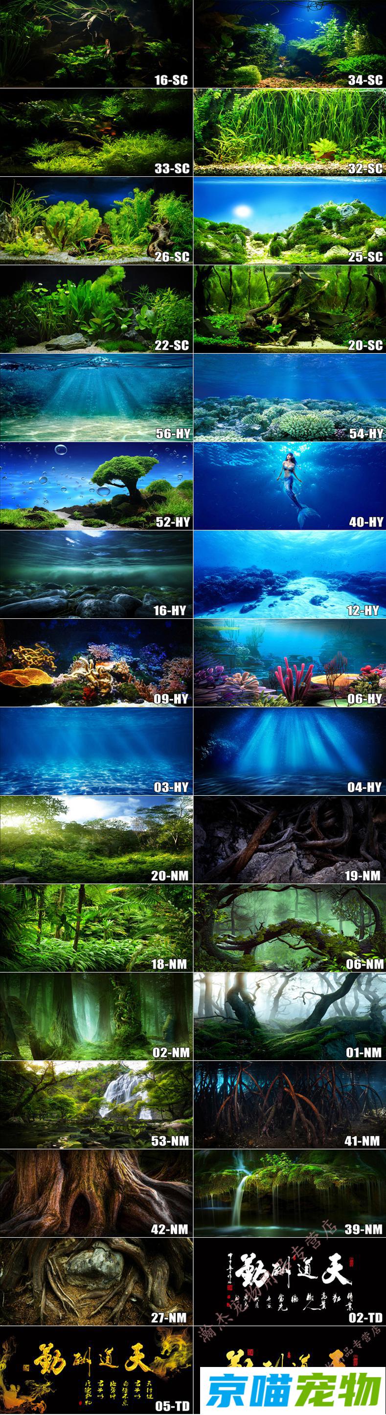 京选推荐鱼缸背景纸3d立体高清图贴画造景水族箱5d壁纸南美沉木森林80