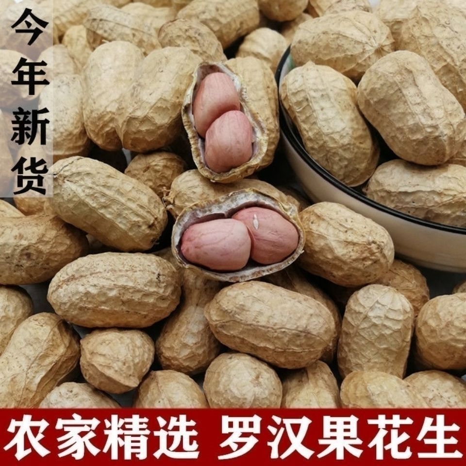 干花生种子高产大籽生花生罗汉果花生高产花生种自然晒干花育22100克