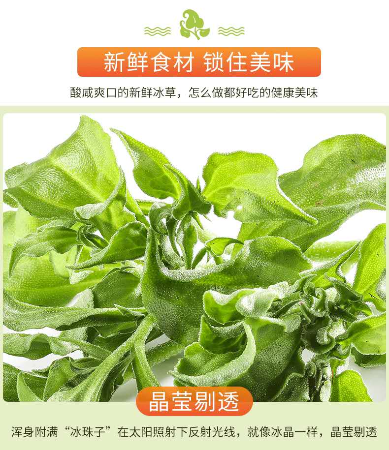 冰草新鲜蔬菜4斤冰叶菜沙拉火锅现摘冰3菜花生吃4斤