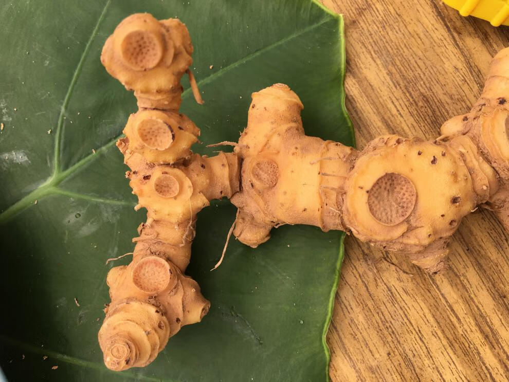 鲜黄精生新鲜500g特级九华山肉头鸡头中药材食用泡水泡酒【图片 价格