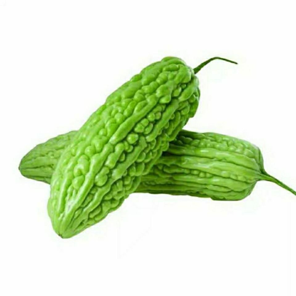 苦瓜新鲜蔬菜新鲜苦瓜精品农家现摘现发当季时令蔬菜产地直发 净重五