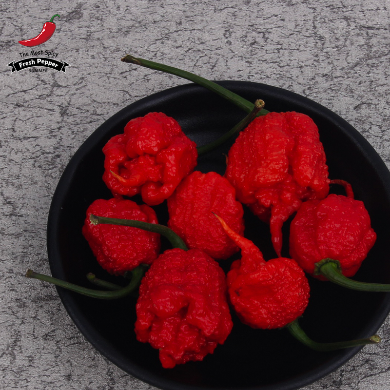 龙息辣椒卡罗莱纳死神辣椒carolinareaper超辣变态辣预售1g北方入冬了