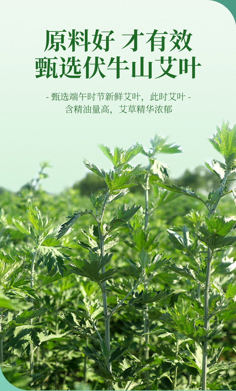 万物之源 艾草精油 10ml植物身体滋润按摩香膏精油 艾叶精油 10ml瓶装