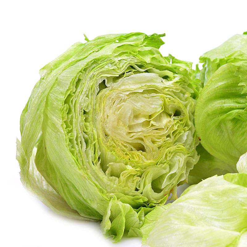 农家新鲜蔬菜结球生菜沙拉菜蔬菜三明治即食500g