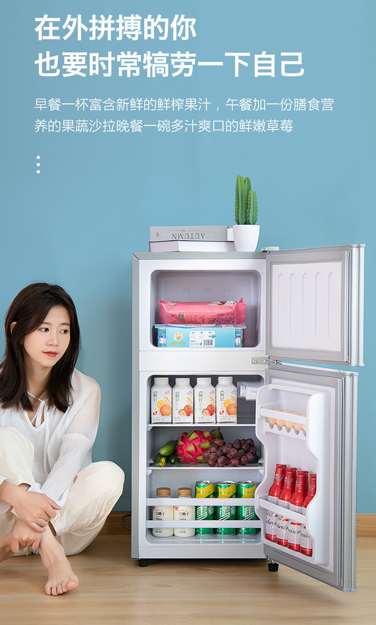 志高冰箱家用双门小型迷你电冰箱宿舍家电节能冷藏冷冻大容量抖音申花