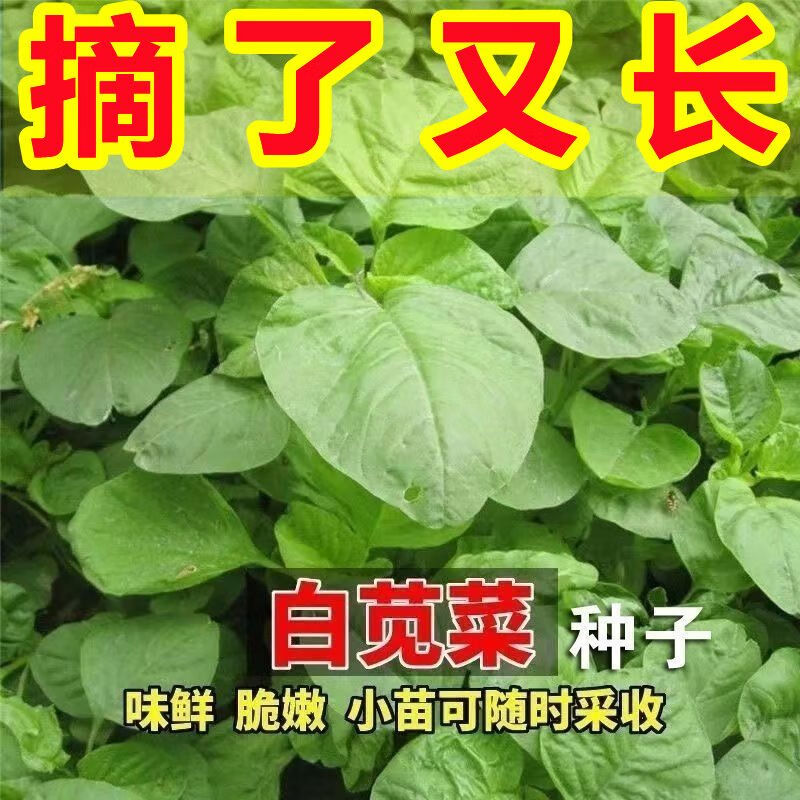 72ab3b6eca736738.jpg