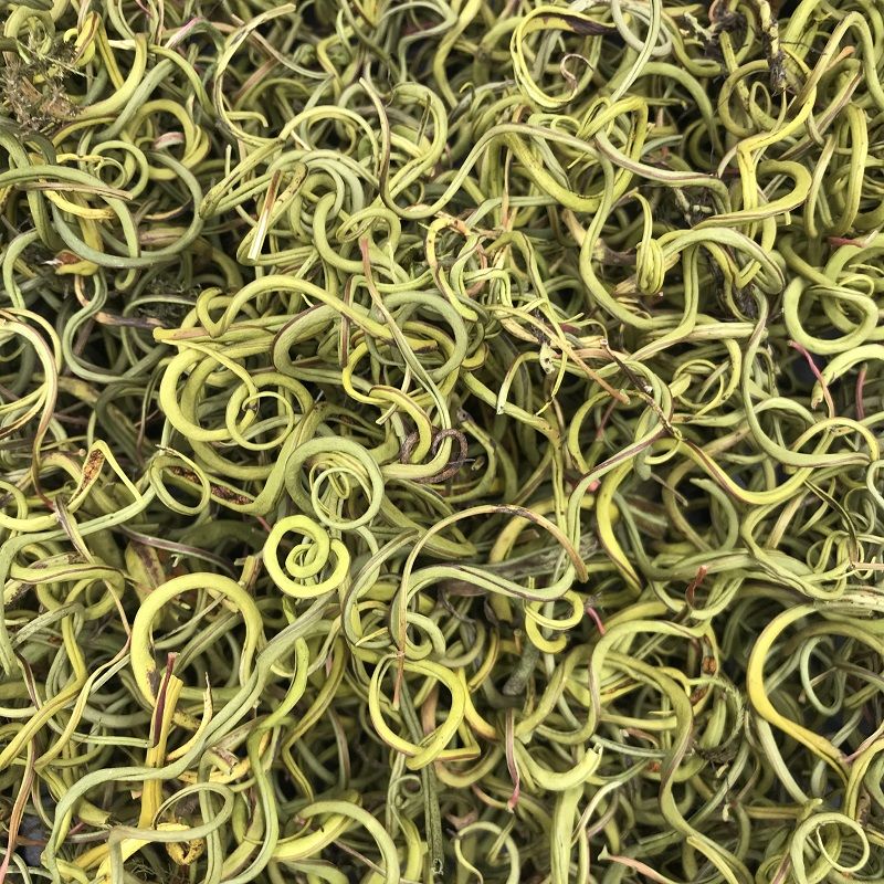 云南草茶草茶 肾精茶 紫蓝草猫耳草猫须草 250g