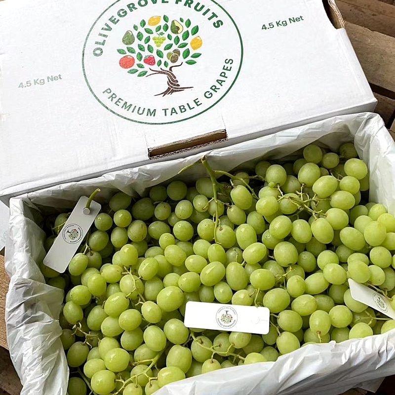 澳洲甜地球青提2斤脆甜无籽秋天脆葡萄提子新鲜水果【顺丰快递】【图