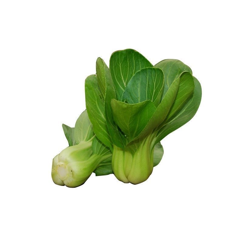 上海精品苏州青四季种植高产蔬菜小青菜小白菜种籽黑大头原包装1包