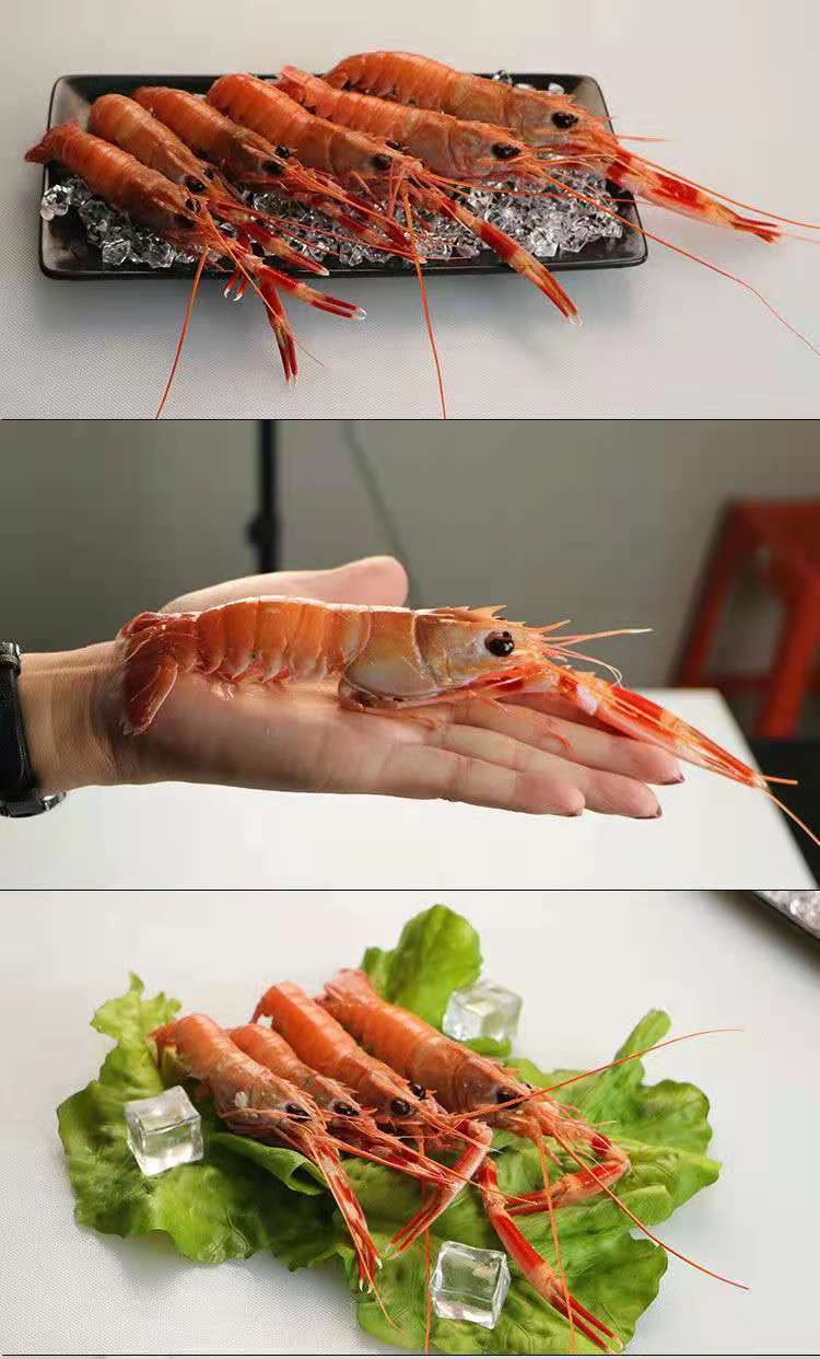 鳌虾国产海鳌虾新鲜刺身生吃冷冻特大号海龙虾新西兰海螯虾铁甲虾展志