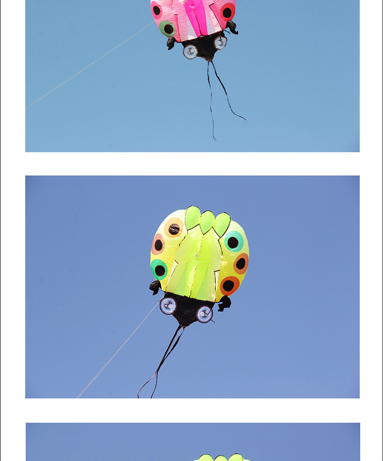 潍坊风筝新款变色瓢虫大型成人软体风筝线轮抗大风好飞易飞t174 白粉
