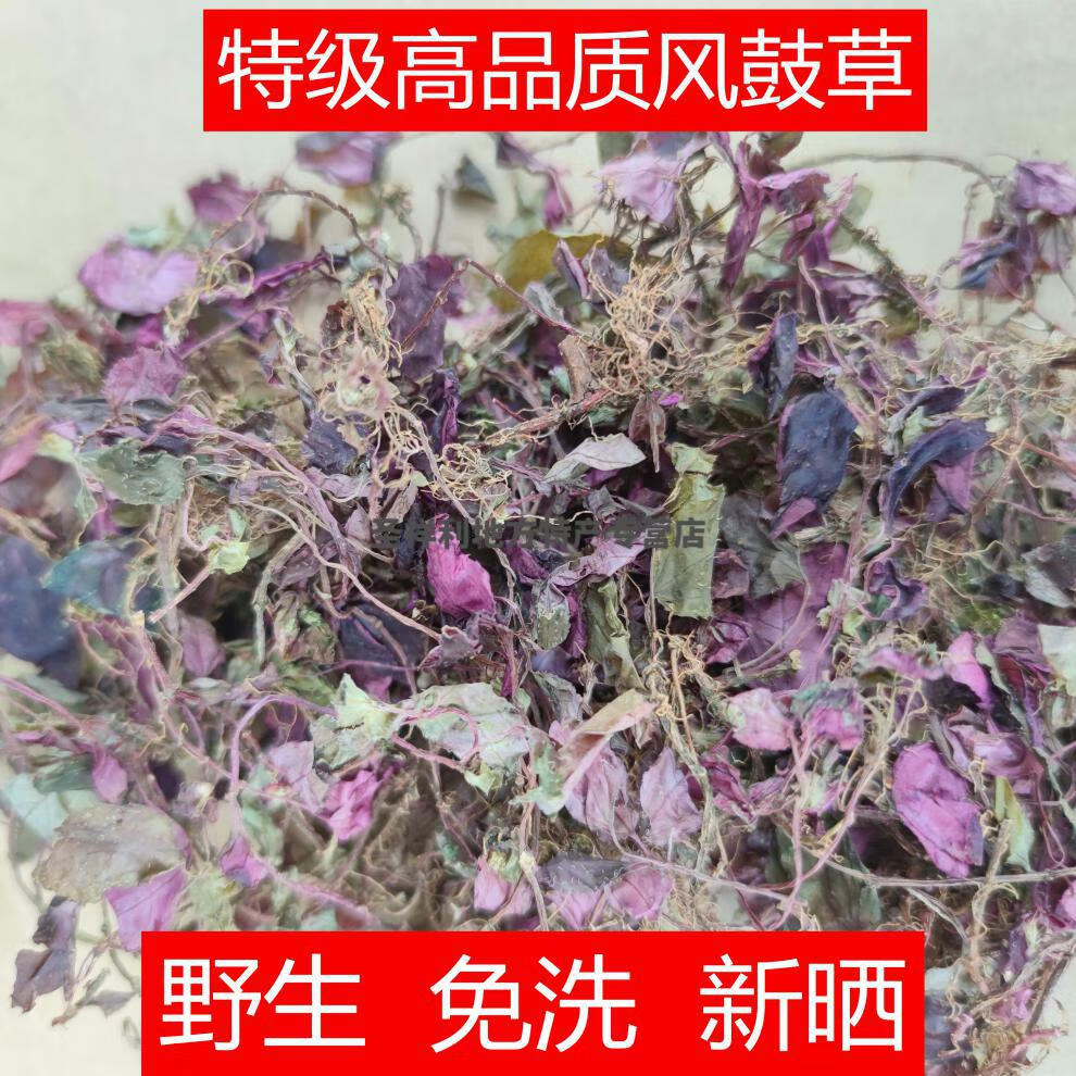 5折 20风柜斗草干品新货福建风鼓草风谷草楮头红250g【图片 价格 品牌