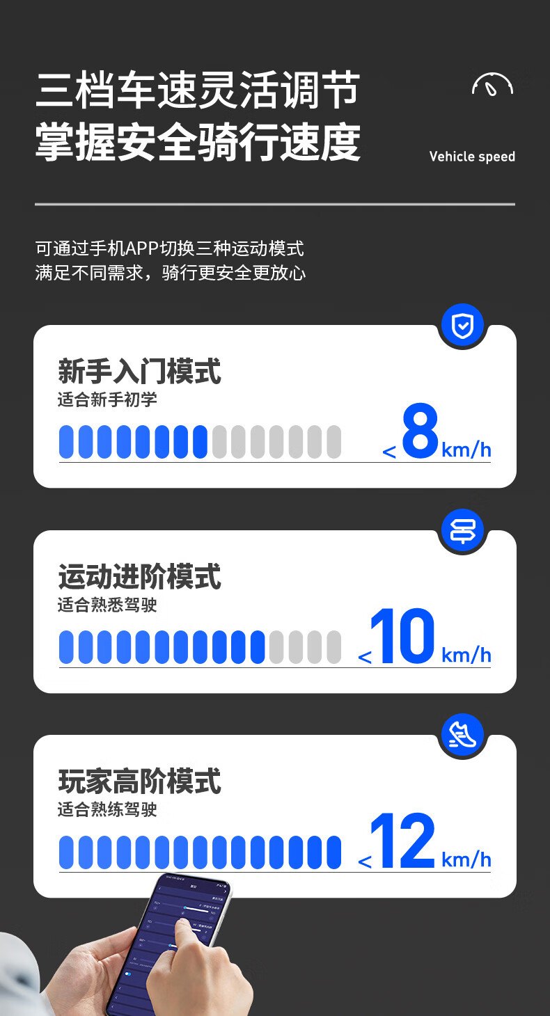 d310858ab9ce11d8.jpg