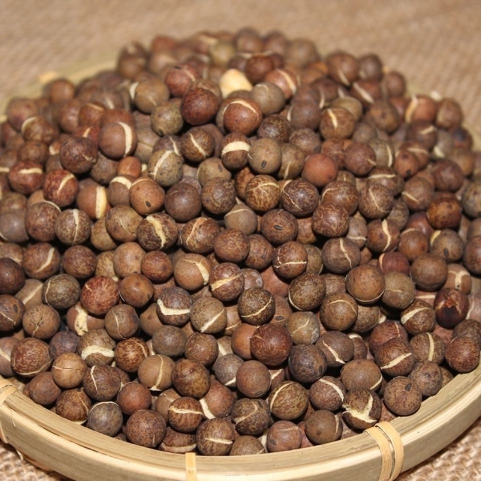 一件甘肃特产干炒麻豆子兰州炒熟灰豆麻豌豆熬粥灰豆麻豆 5斤 干炒麻